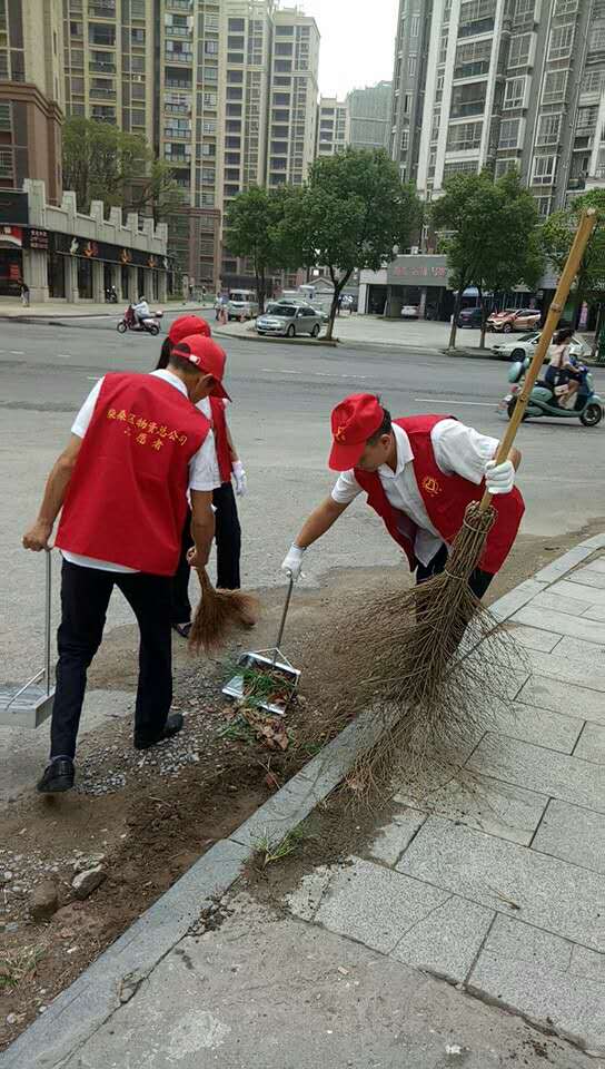 开展文明创建志愿活动，助力环境整治百日攻坚“净化”行动